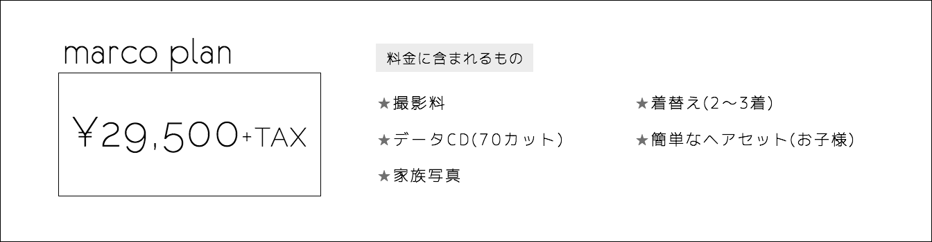 マルコプラン内容
